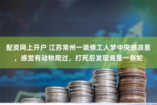 配资网上开户 江苏常州一装修工人梦中突感凉意，感觉有动物爬过，打死后发现竟是一条蛇