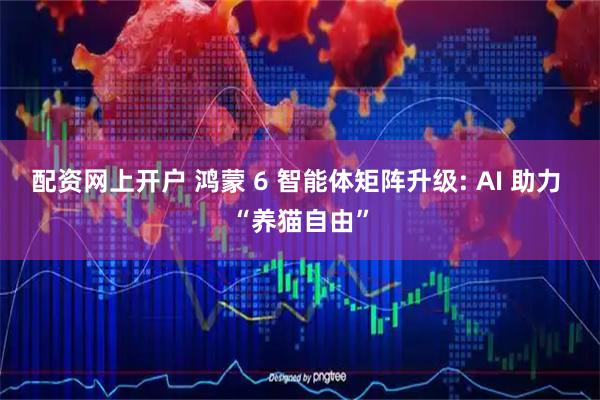 配资网上开户 鸿蒙 6 智能体矩阵升级: AI 助力 “养猫自由”