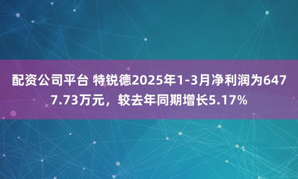 配资公司平台 特锐德2025年1-3月净利润为6477.73万元，较去年同期增长5.17%